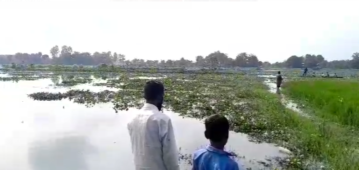 মৰিগাঁৱৰ পলাতক ৫ কয়দীৰ এজনৰ মৃতদেহ উদ্ধাৰ ।