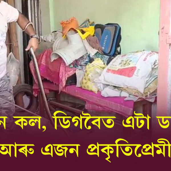 এটা ফোন কল, ডিগবৈত এটা ডাঙৰ সাঁপ আৰু&hellip;