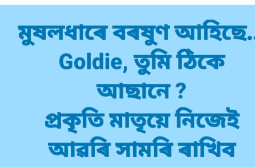 নিশা মূষলধাৰ বৰষুণ আৰু সামাজিক মাধ্যমত বিশেষ পোষ্ট গৰিমা শইকীয়া গাৰ্গৰ