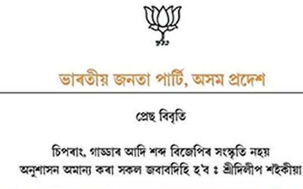 প্ৰসংগ: বিজেপিৰ চিপৰাং,গাড্ডাৰ