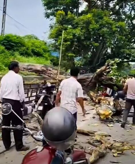 স্কুটীত প্ৰকাণ্ড গছ উভালি পৰি ছাত্ৰীৰ মৃ*ত্যু