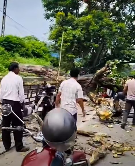 স্কুটীত প্ৰকাণ্ড গছ উভালি পৰি ছাত্ৰীৰ মৃ*ত্যু